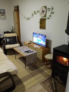 TV a/nebo společenská místnost v ubytování Vila I