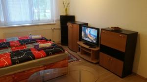 オストラヴァにあるFlat for 2 people, WiFiのベッドルーム(ベッド1台、テレビ付)