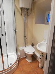 a bathroom with a shower and a toilet and a sink at Annie's in Carlisle