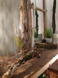 Zahrada ubytování Chambres D´Hôtes Herbes Folles