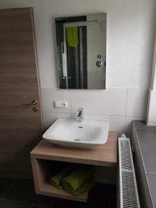 een badkamer met een witte wastafel en een spiegel bij FEWO Jürgen + Conny in Babenhausen