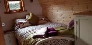 Giường trong phòng chung tại Panoramic Pods