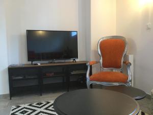 TV a/nebo společenská místnost v ubytování Gîte de la Taillanderie