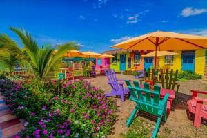 a patio with colorful chairs and umbrellas and flowers at Dunas Tatacoa in Villavieja