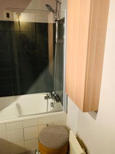 a bathroom with a shower and a toilet and a tub at La maison de Nina in Sens +18 photos