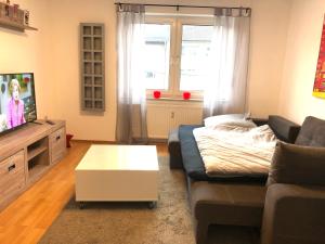 a living room with a couch and a tv at Paradise Apartments in Dortmund