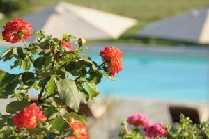 Bazén v ubytovaní Villa La Mura - Luxury Pool by the Vineyard alebo v jeho blízkosti