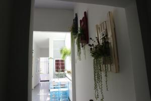 a hallway with plants hanging on the wall at Blossom Homestay in Tuy Hoa