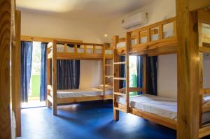 GREEN NEST HOSTEL, Baga-Arpora, North Goa客房内的一张或多张床位