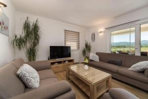 a living room with two couches and a tv at Villa Maria in Donji Proložac