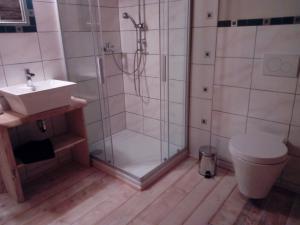 een badkamer met een douche, een toilet en een wastafel bij Reiterhof Mühlbauer in Grattersdorf
