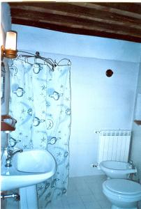 a bathroom with a sink and a toilet and a shower curtain at La Fattoria Montalcinello in Chiusdino