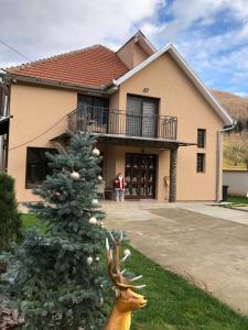 a christmas tree in front of a house at Casa Larisa in Chişcău