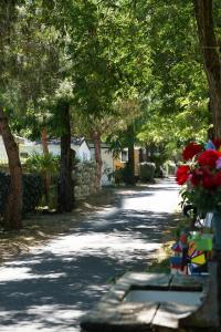 Camping 4 étoiles Les Fougères外面的花园