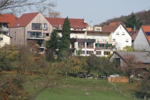 a group of houses in a town with a yard at Fewo im Naturpark in Spiegelberg