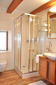 ein Bad mit einer Dusche, einem WC und einem Waschbecken in der Unterkunft Gasthof Schopper in Breitenbach am Inn