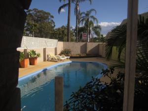 a swimming pool with two lawn chairs and palm trees at Best Western Parkside Motor Inn in Coffs Harbour
