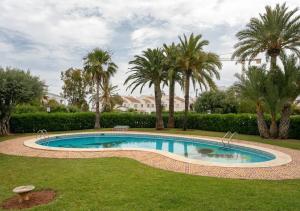 a swimming pool in a yard with palm trees at Villa Marina in Denia