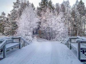 Holiday Home Niinimökki by Interhome v zimě