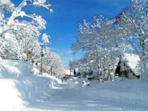 a street covered in snow with trees and houses at Madarao Elm Pension in Iiyama