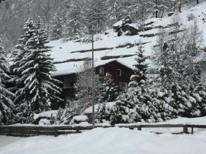 una casa con árboles nevados delante de ella en Apartment Cresta di Saas by Interhome, en Saas-Grund