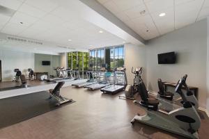 Fitnes oz. oprema za telovadbo v nastanitvi Holiday Inn Chicago Nw Crystal Lk Conv Ctr, an IHG Hotel