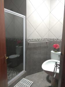 a bathroom with a shower and a toilet and a sink at Aan die Voet van die Magalies in Pretoria