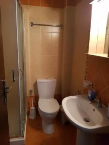 a bathroom with a toilet and a sink at Casa Louli in Syvota