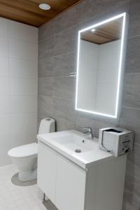 a bathroom with a sink and a mirror and a toilet at Luxury suites Pannunkorva C in Rovaniemi +9 photos