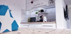 Kjøkken eller kjøkkenkrok på Studio apartman ENJOY Divčibare