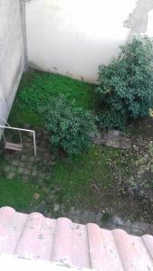 um jardim com dois arbustos e uma parede de tijolos em Dar el Baraka em Bizerte