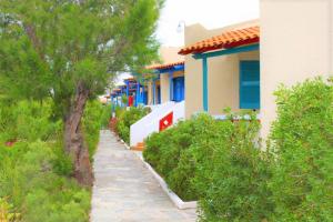 Zahrada ubytování Zorbas Beach Village Hotel