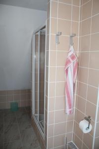 ein Bad mit einer Dusche und einem Handtuch an der Wand in der Unterkunft FeWo am Schlossberg in Neusitz