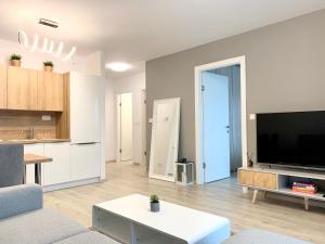 Televízia a/alebo spoločenská miestnosť v ubytovaní Elegant, bright spacious apartment in Bratislava center
