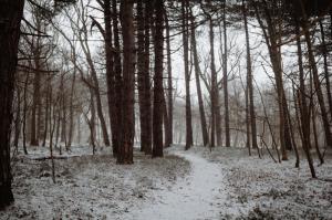 Studio Broeckestraat 12 om vinteren + 4 billeder