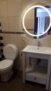 a bathroom with a toilet and a sink and a mirror at monoambiente cerca del centro in Villa La Angostura