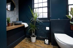 a bathroom with blue walls and a toilet and plants at Spirit of Prince Street Hull Old Town in Hull