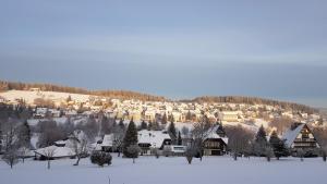 Schwarzwaldblick during the winter