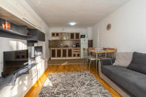 ein Wohnzimmer mit einem grauen Sofa und einer Küche in der Unterkunft Apartament LYAD in Sighişoara