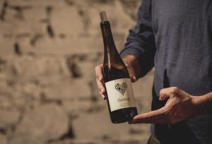 a man is holding a bottle of wine at Casal dos Capelinhos - Douro in Santa Marta de Penagui&atilde;o