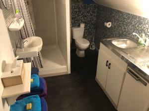 Koupelna v ubytování B&B De Eifelhoeve