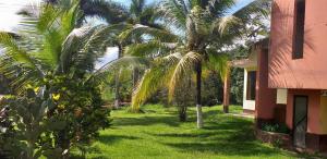 a yard with palm trees next to a house at Paraiso Inn in Satipo +100 photos