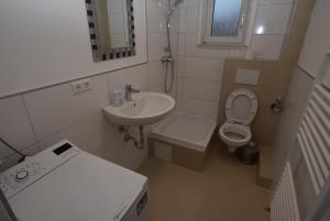 シュトゥットガルトにあるAB Apartment Bad-Cannstattの小さなバスルーム(洗面台、トイレ付)
