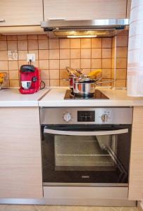 a kitchen with a stove with a pot on it at Konstantina & Evgenia Deluxe Apartment in Nea Peramos