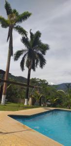 a swimming pool with two palm trees in the background at Paraiso Inn in Satipo