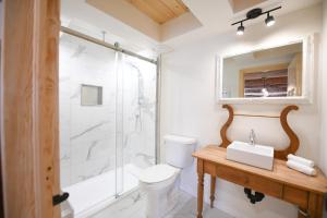a bathroom with a shower and a toilet and a sink at La Maison Bleue in Saint-Férréol-les-Neiges +22 photos