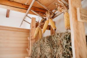 a barn with hay and corn hanging from a ceiling at Maso del Fieno in Sant'Orsola Terme