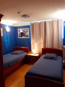 Saint-Père-en-RetzにあるGite l'Imprévuの青い壁のドミトリールーム ベッド2台