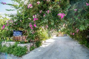 a tree with pink flowers hanging over a street at Beyoglu Pansiyon in Patara
