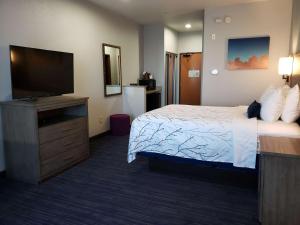 a hotel room with a bed and a flat screen tv at Best Western Plus San Antonio East Inn & Suites in San Antonio